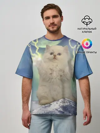 Мужская футболка оверсайз / Грозовой Котик