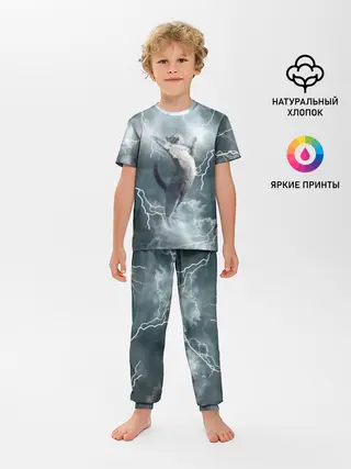 Детская пижама с брюками / Грозовой кошак.