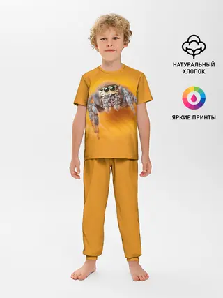 Детская пижама с брюками / ПАУК / SPIDER