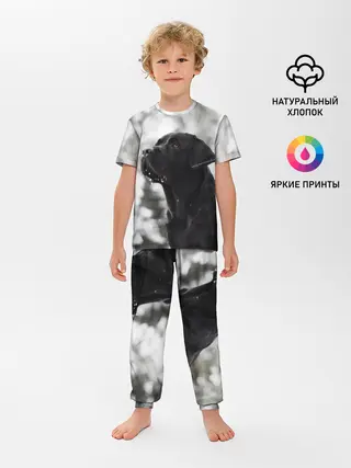 Детская пижама с брюками / Лабрадор Марк