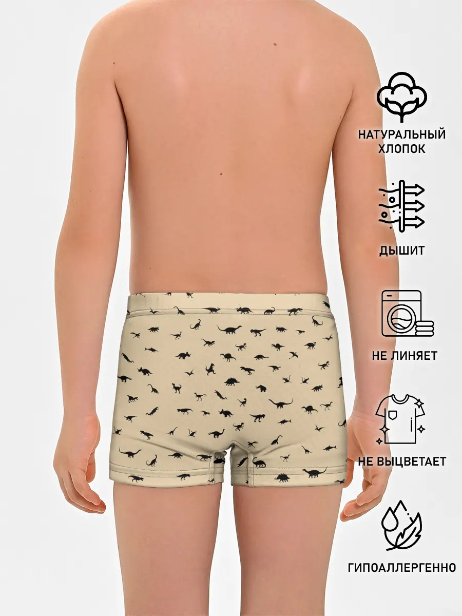 Трусы для мальчиков / Dinoworld#2