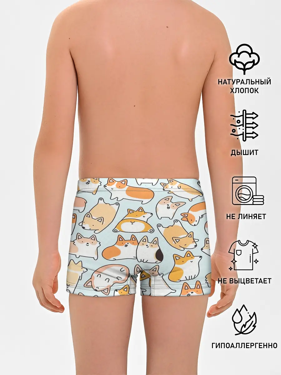 Трусы для мальчиков / Корги