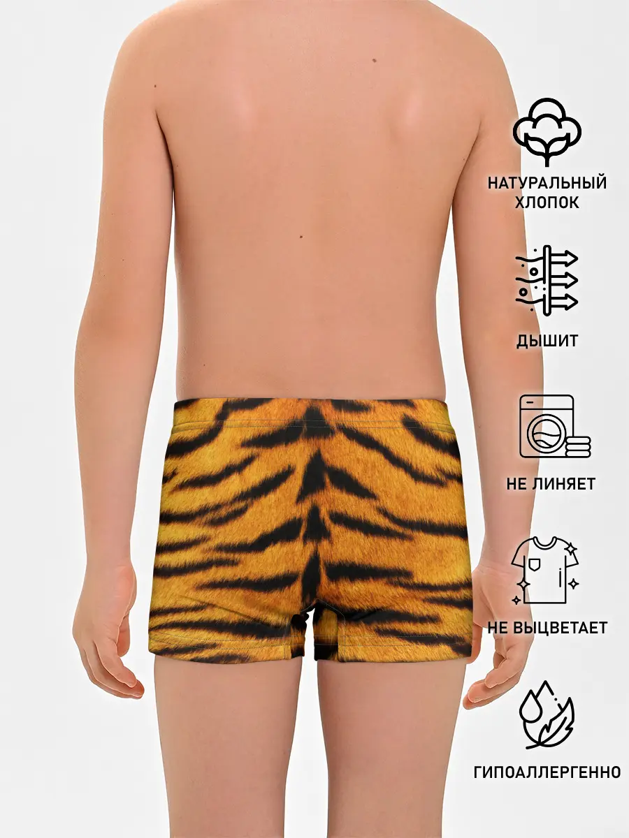 Трусы для мальчиков / Шкура Тигра