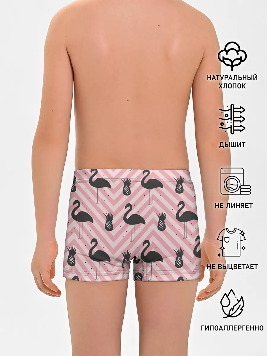 Трусы для мальчиков / Черный фламинго