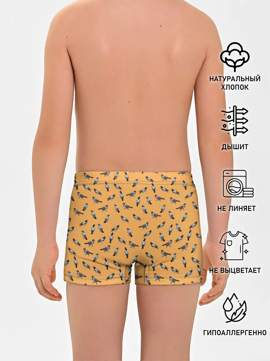 Трусы для мальчиков / Голуби паттерн на желтом