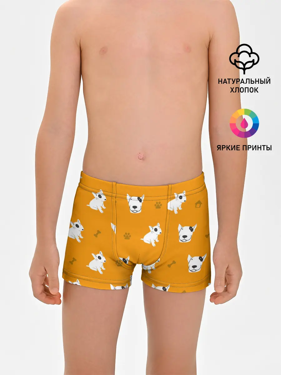 Трусы для мальчиков / Английский бультерьер