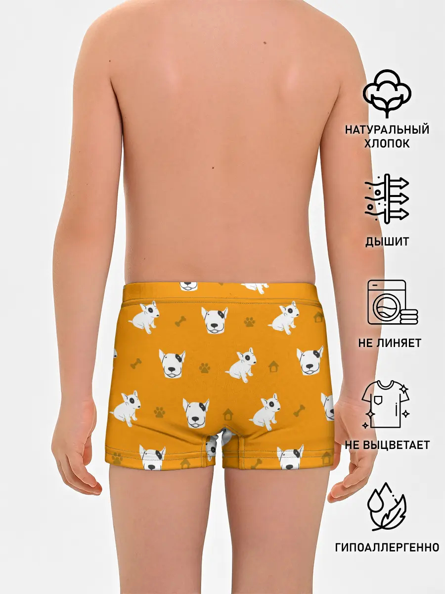 Трусы для мальчиков / Английский бультерьер