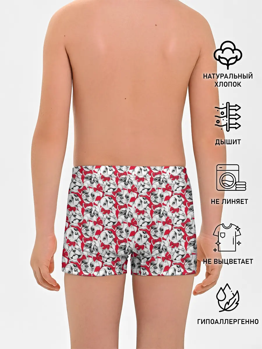 Трусы для мальчиков / Французский Бульдог