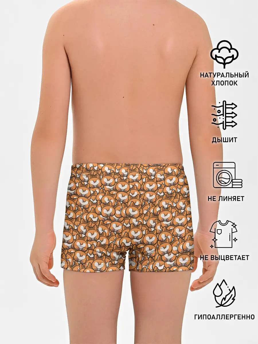 Трусы для мальчиков / Попки Корги