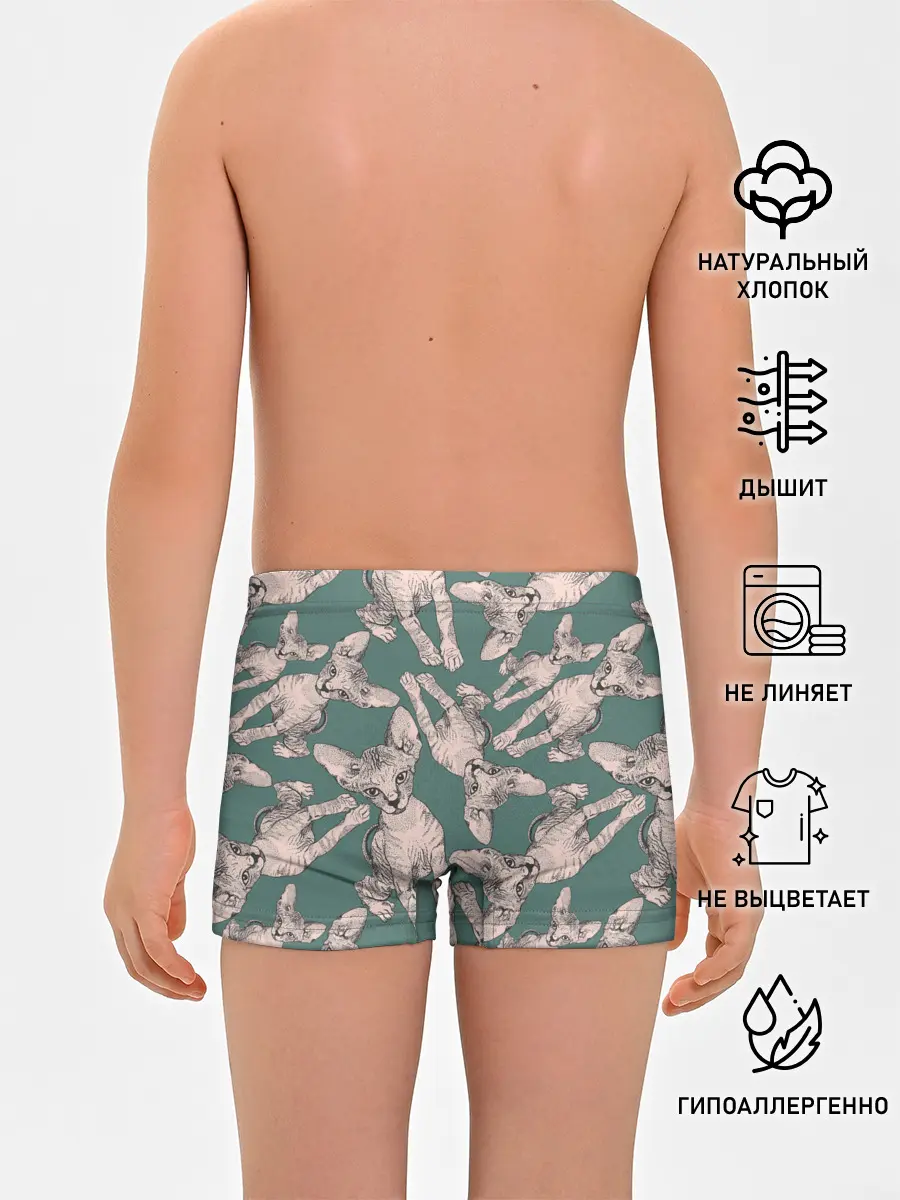 Трусы для мальчиков / Котёнок сфинкса