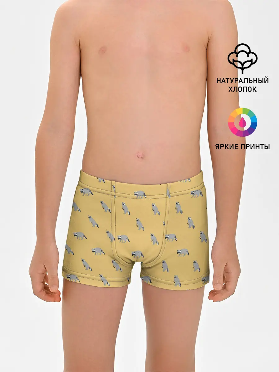 Трусы для мальчиков / Еноты паттерн