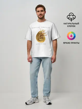 Мужская футболка оверсайз / Nautilus Pompilius ЗОЛОТОЙ ВЕК