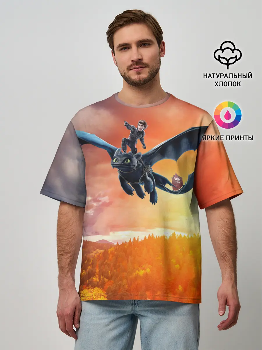 Мужская футболка оверсайз / Night Fury