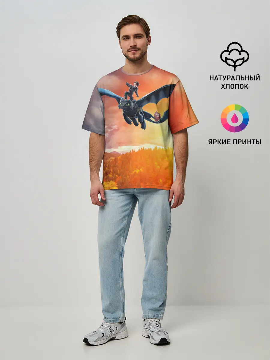 Мужская футболка оверсайз / Night Fury