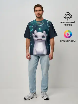 Мужская футболка оверсайз / дневная фурия