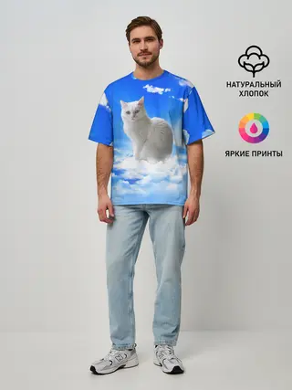 Мужская футболка оверсайз / Кот в облаках
