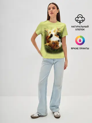 Женская базовая футболка / Лиса на траве