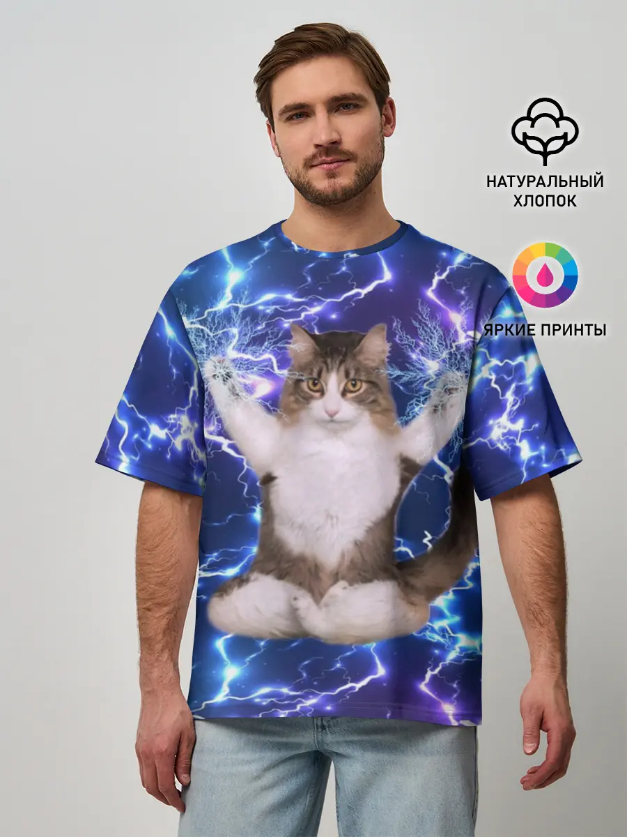 Мужская футболка оверсайз / Грозовой Котик