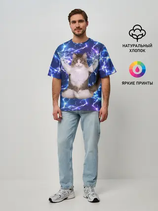 Мужская футболка оверсайз / Грозовой Котик