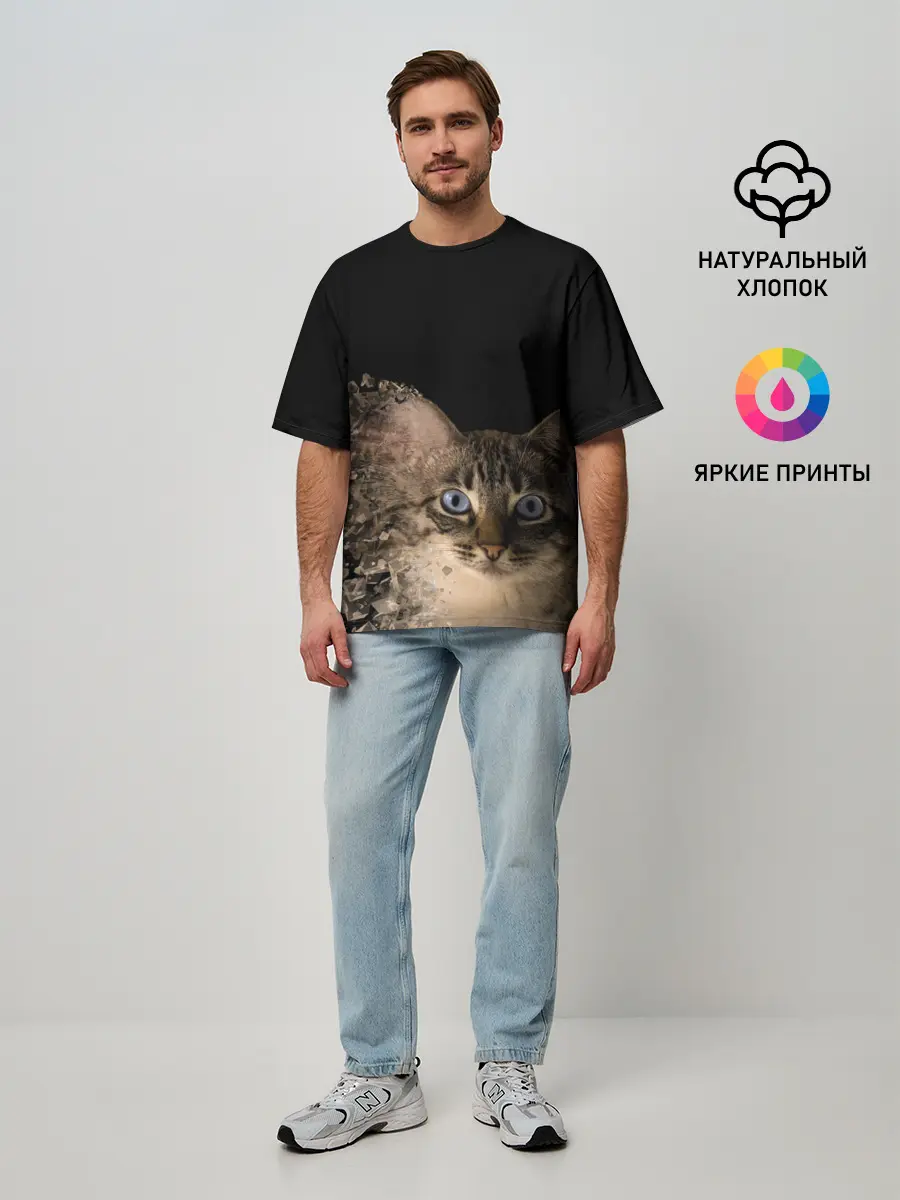 Мужская футболка оверсайз / Disintegrating Cat