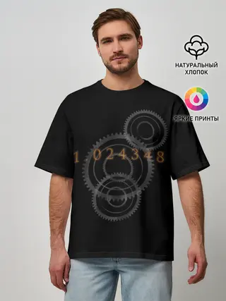 Мужская футболка оверсайз / Врата Штейна