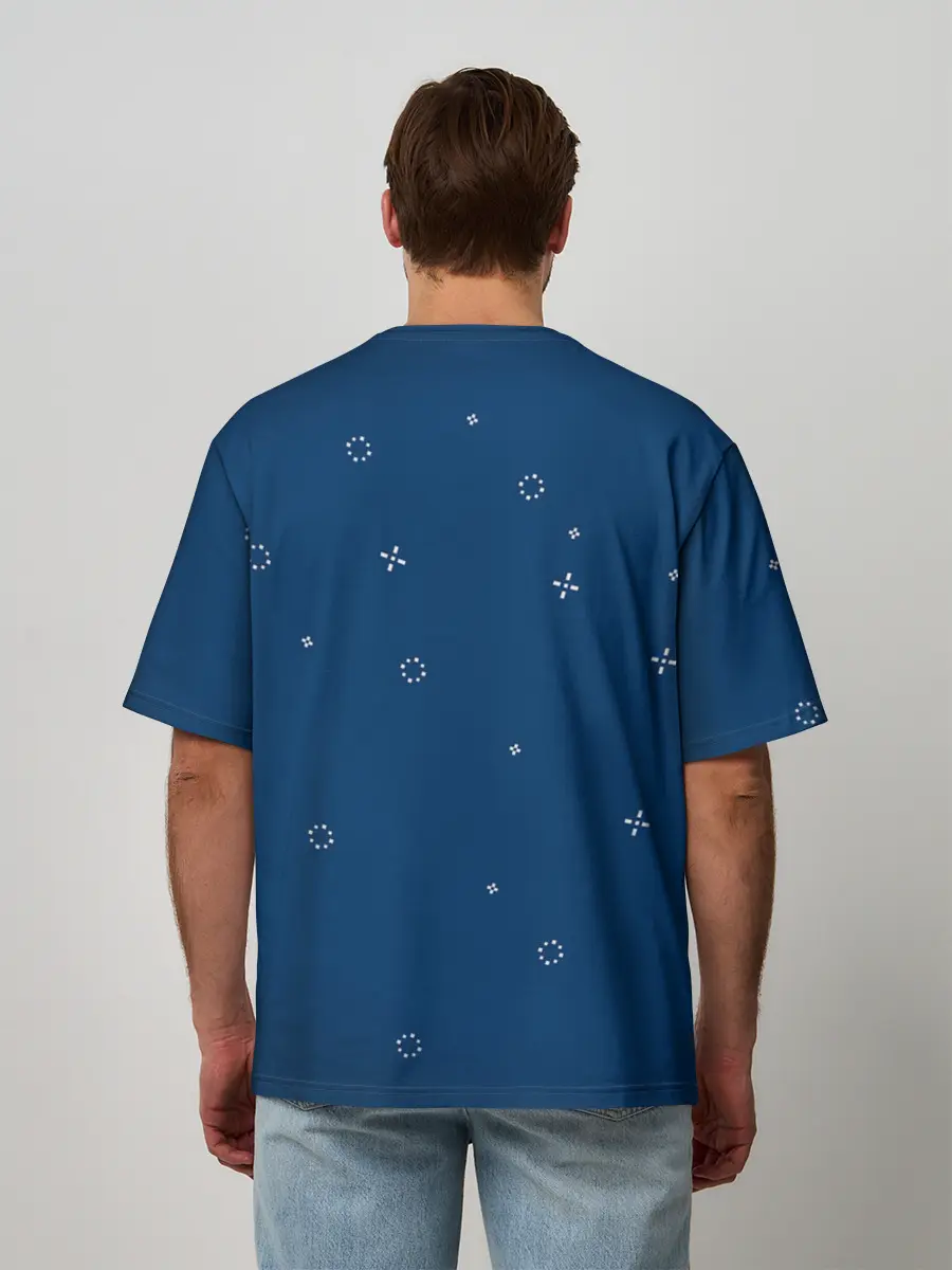 Мужская футболка оверсайз / Nyan cat x Pony