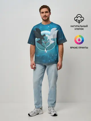 Мужская футболка оверсайз / ночная фурия