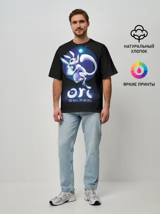 Мужская футболка оверсайз / Ori and the Will of the Wisps