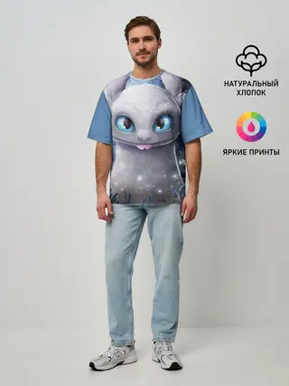 Мужская футболка оверсайз / дневная фурия