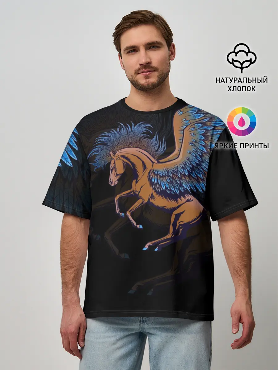 Мужская футболка оверсайз / Pegasus wings