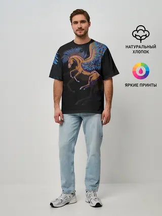 Мужская футболка оверсайз / Pegasus wings
