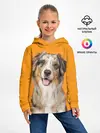 Детское худи / Австралийская овчарка
