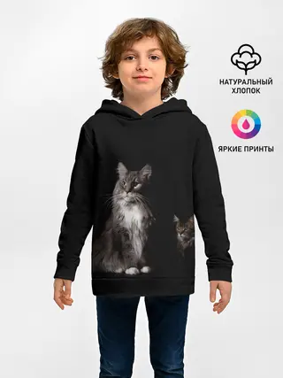 Детское худи / Котики
