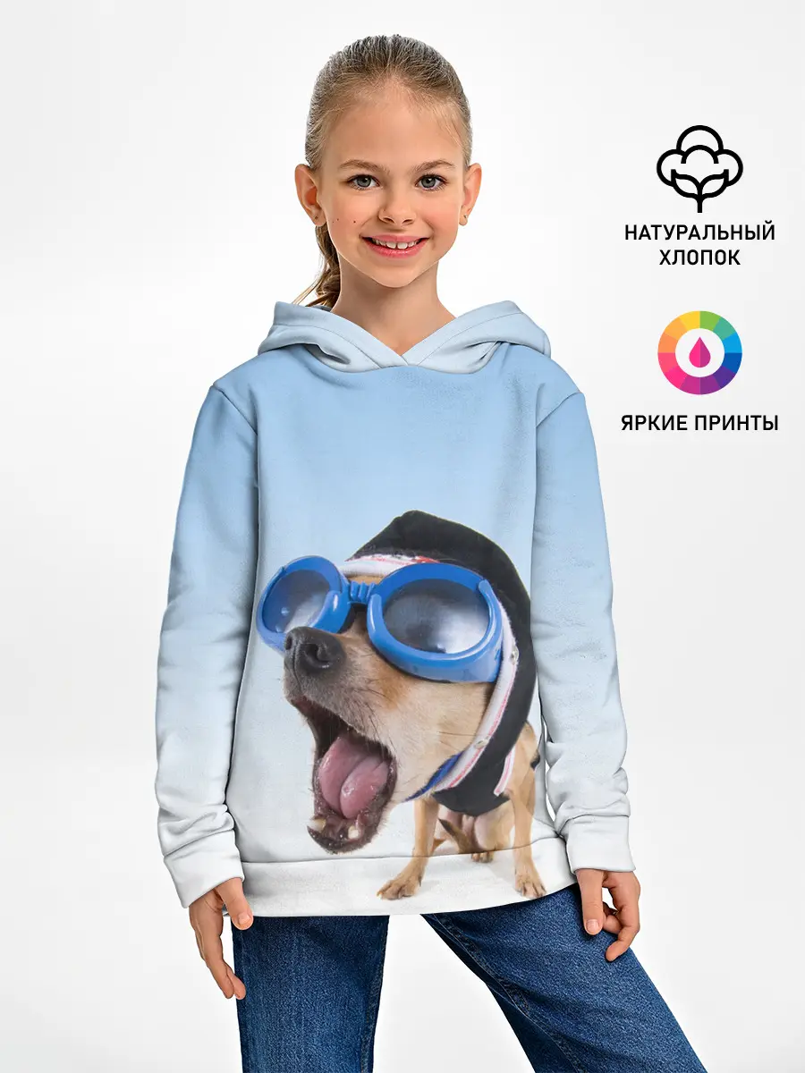 Детское худи / собака в очках