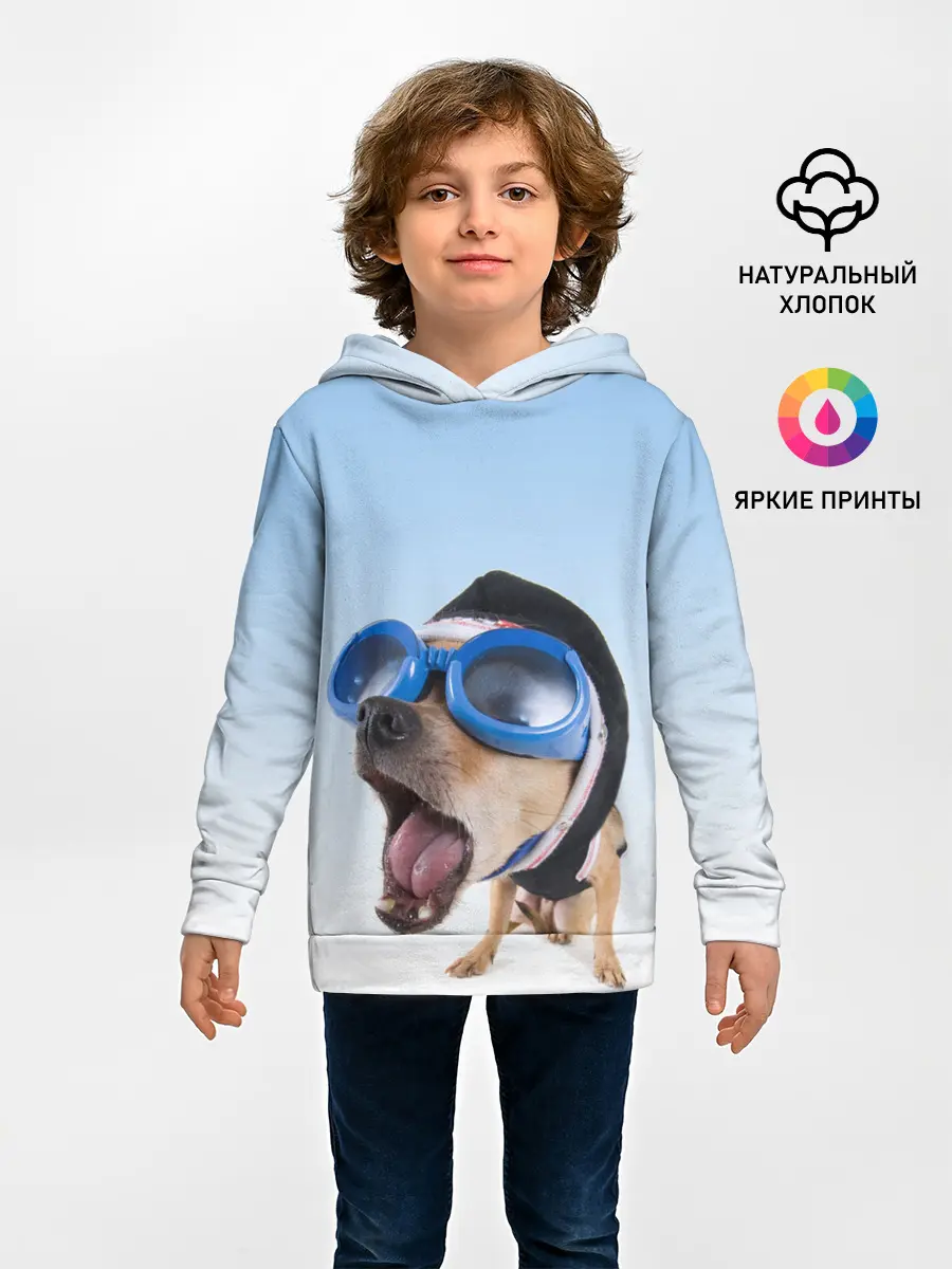 Детское худи / собака в очках
