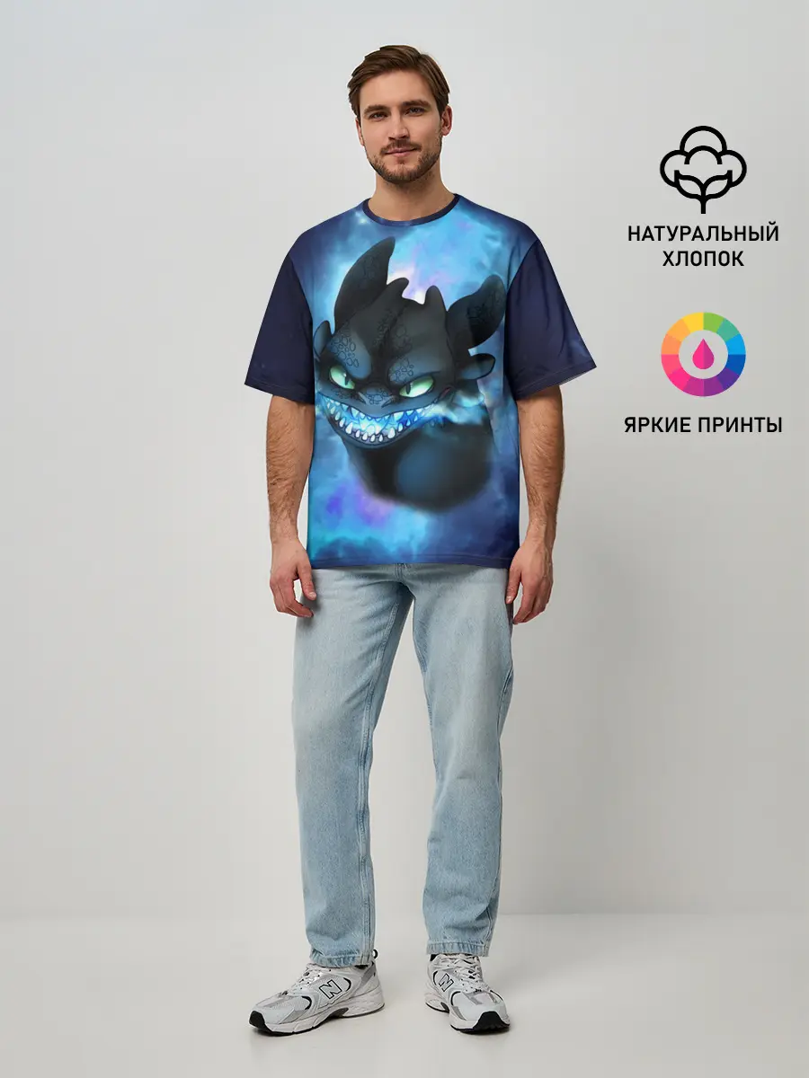 Мужская футболка оверсайз / Night Fury