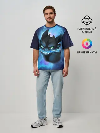 Мужская футболка оверсайз / Night Fury