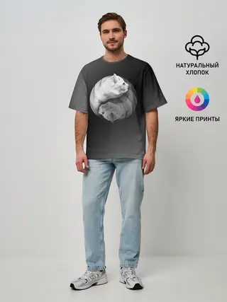 Мужская футболка оверсайз / Янь Янь Котики