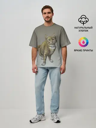 Мужская футболка оверсайз / полосатый уличный кот