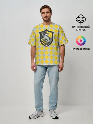 Мужская футболка оверсайз / Coat of Hufflepuff