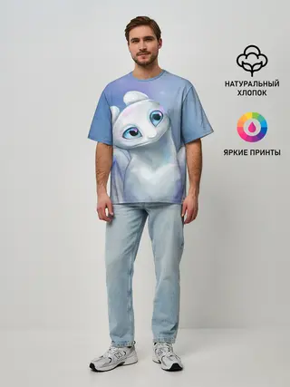 Мужская футболка оверсайз / дневная фурия