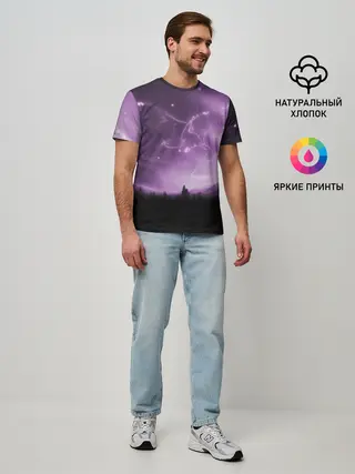 Мужская базовая футболка / ВОЛКИ СОЗВЕЗДИЯ