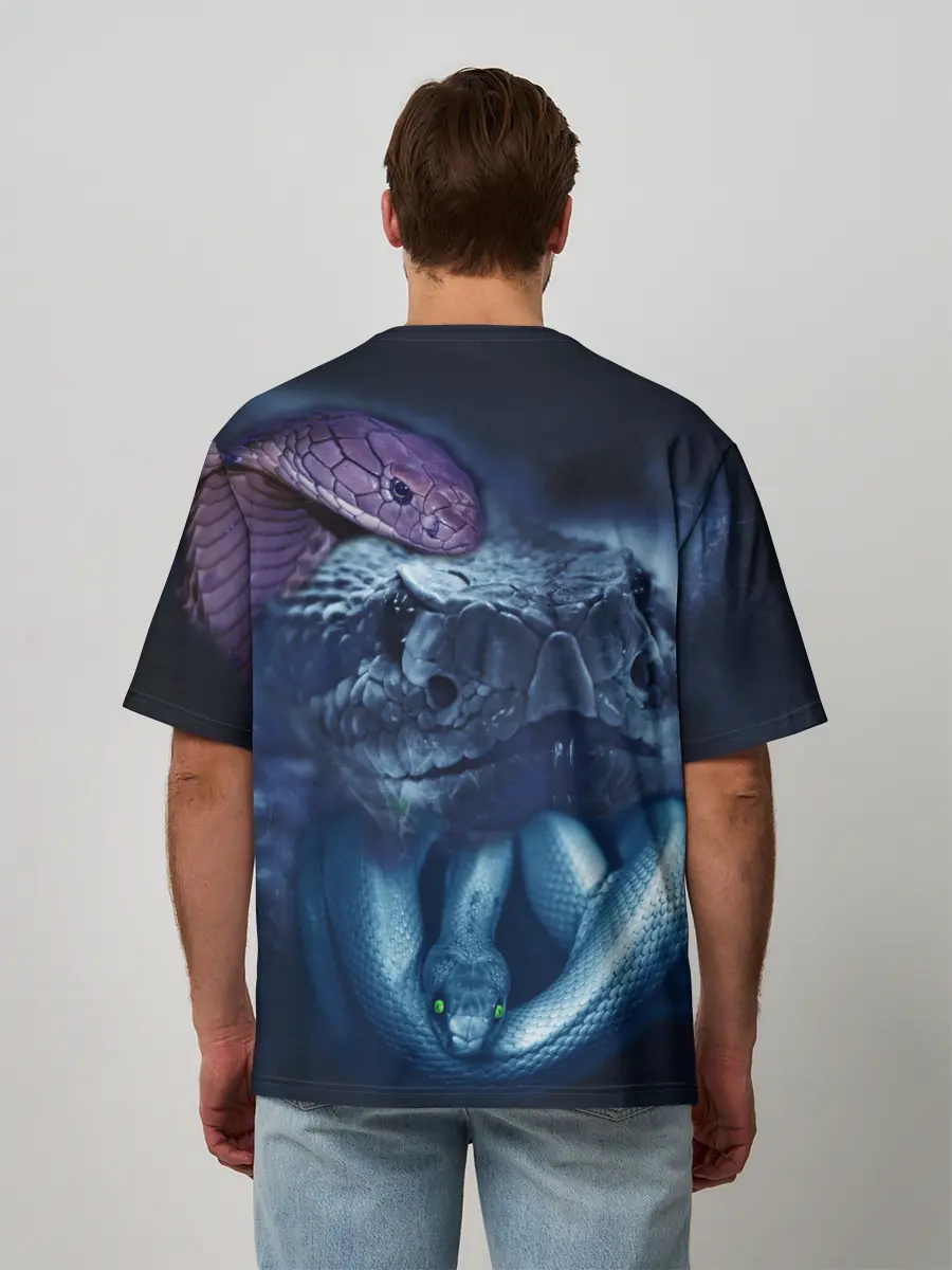 Мужская футболка оверсайз / Мифические змеи