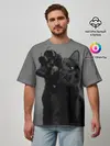Мужская футболка оверсайз / Котик