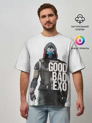 Мужская футболка оверсайз / Destiny 2