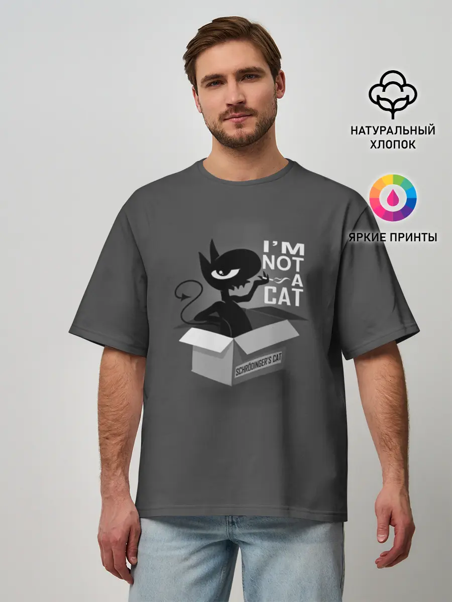 Мужская футболка оверсайз / Disenchantment. Im not a Cat