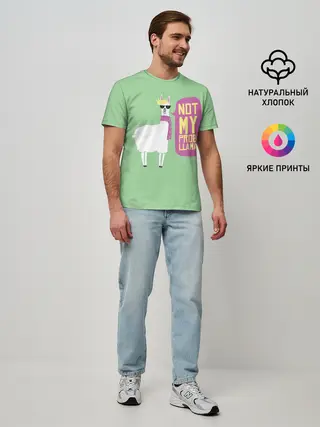 Мужская базовая футболка / Лама