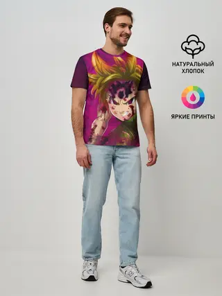 Мужская базовая футболка / Мелиодас