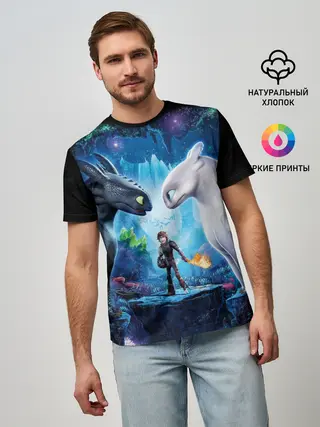 Мужская базовая футболка / как приручить дракона