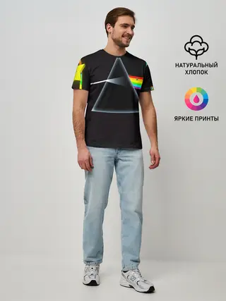 Мужская базовая футболка / PINK FLOYD